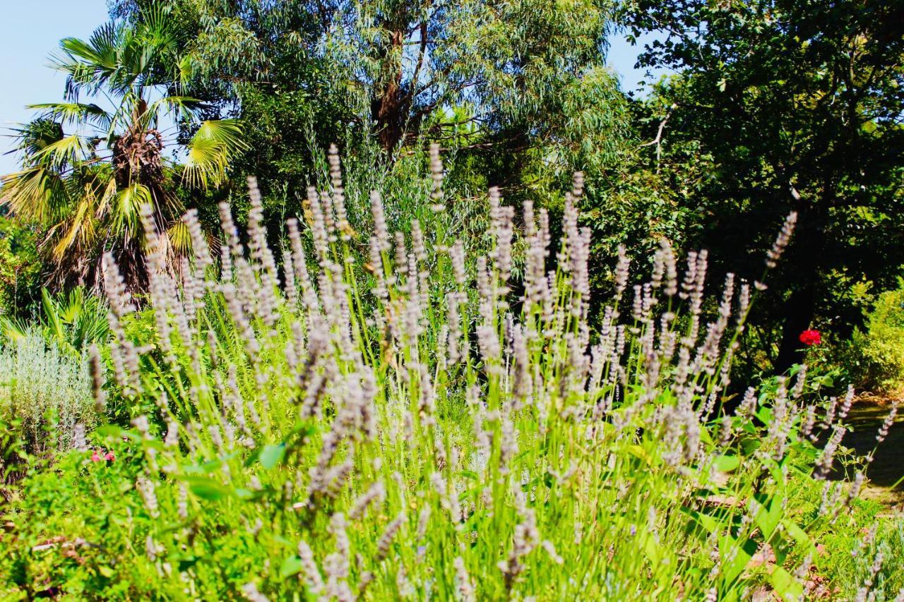 Nagoondie Studio Healesville Ngoại thất bức ảnh